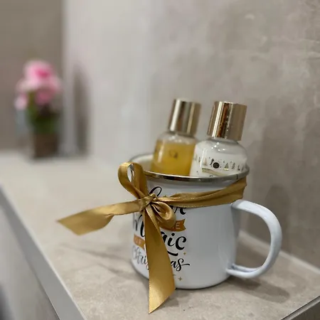 Modern Near Old Town Kaunas